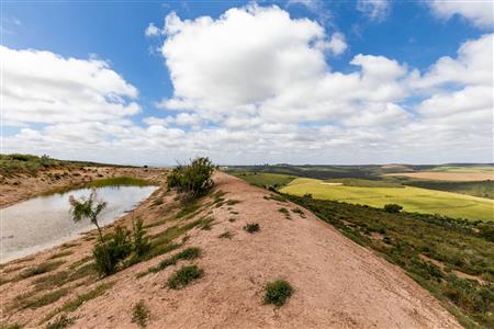 False - Farm For Sale in Albertinia, Western Cape - M116731