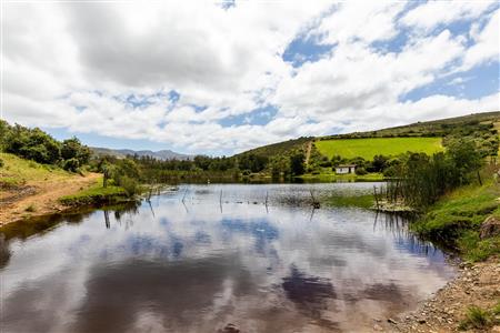 False - Farm For Sale in Albertinia, Western Cape - M116731