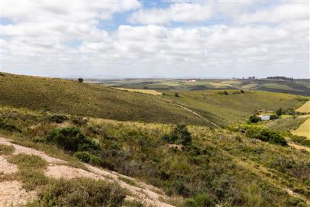 False - Farm For Sale in Albertinia, Western Cape - M116731