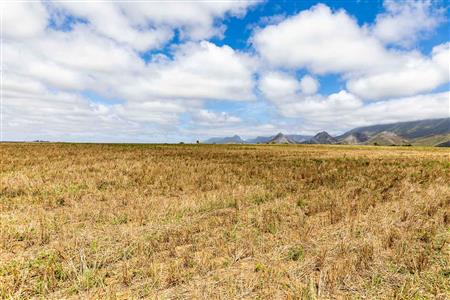 False - Farm For Sale in Albertinia, Western Cape - M116731