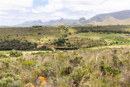 False - Farm For Sale in Albertinia, Western Cape - M116731