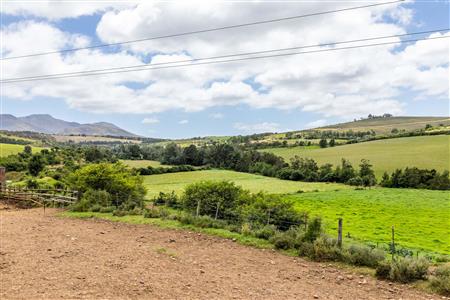 False - Farm For Sale in Albertinia, Western Cape - M116731