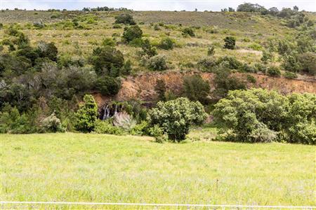 False - Farm For Sale in Albertinia, Western Cape - M116731