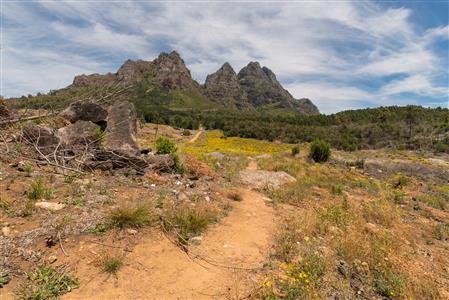 False - Vacant Land For Sale in Pniel, Stellenbosch, Western Cape - M116760