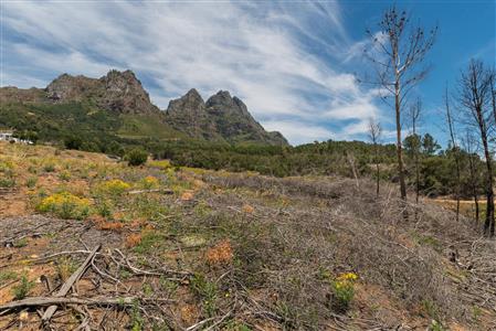 False - Vacant Land For Sale in Pniel, Stellenbosch, Western Cape - M116760