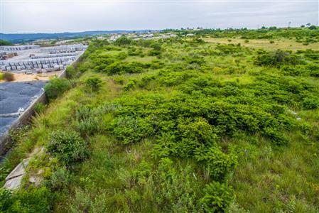 False - Vacant Land For Sale in Wilsonia, East London, Eastern Cape - M116805