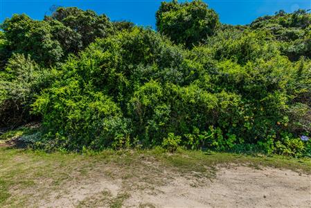Vacant Land For Sale in Wilderness Central, Wilderness, Western Cape - M116993