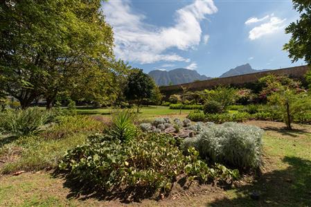 False - Apartment For Sale in Claremont Upper, Cape Town, Western Cape - M117303