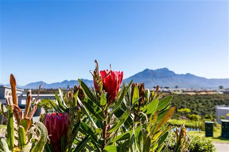 False - Vacant Land For Sale in Welgelegen, George, Western Cape - M117468