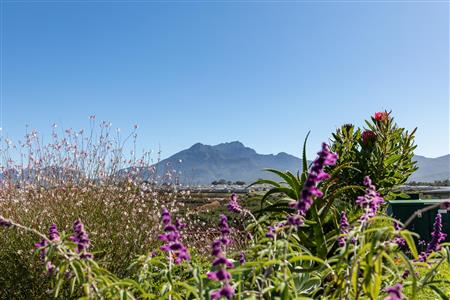 False - Vacant Land For Sale in Welgelegen, George, Western Cape - M117468