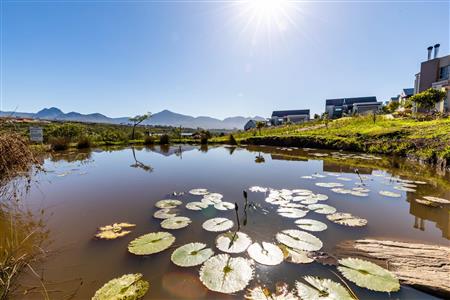 False - Vacant Land For Sale in Welgelegen, George, Western Cape - M117465