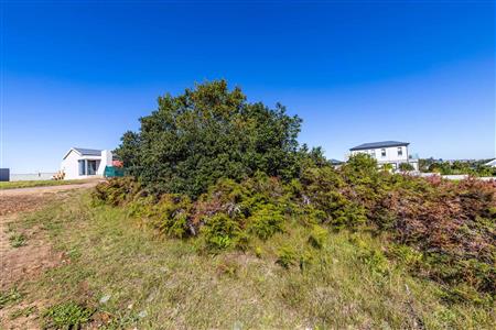 False - Vacant Land For Sale in Welgelegen, George, Western Cape - M117471