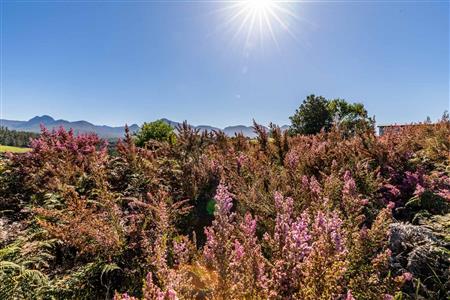 False - Vacant Land For Sale in Welgelegen, George, Western Cape - M117471