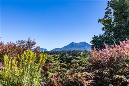 False - Vacant Land For Sale in Welgelegen, George, Western Cape - M117471