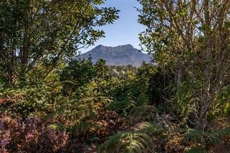 False - Vacant Land For Sale in Welgelegen, George, Western Cape - M117471