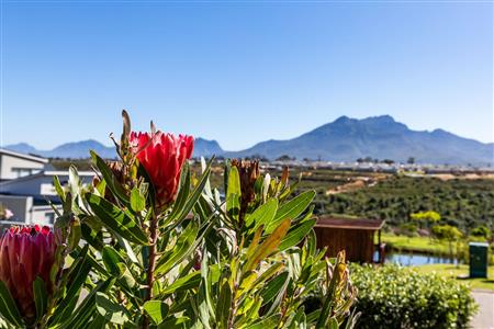False - Vacant Land For Sale in Welgelegen, George, Western Cape - M117467