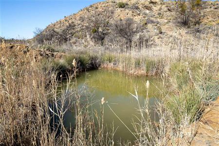 False - Farm For Sale in Riversdale Rural, Riversdale, Western Cape - M119155