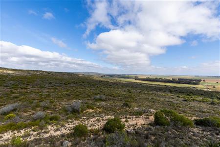 False - Farm For Sale in Riversdale Rural, Riversdale, Western Cape - M119283