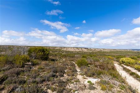 False - Farm For Sale in Riversdale Rural, Riversdale, Western Cape - M119283