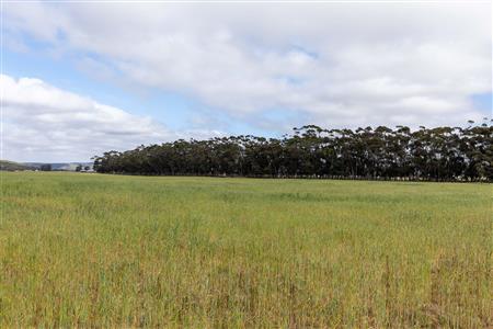 False - Farm For Sale in Riversdale Rural, Riversdale, Western Cape - M119283