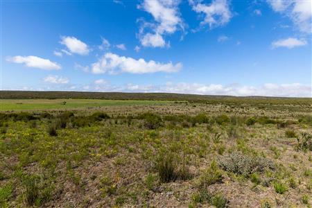 False - Farm For Sale in Riversdale Rural, Riversdale, Western Cape - M119283