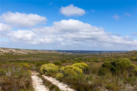False - Farm For Sale in Riversdale Rural, Riversdale, Western Cape - M119283