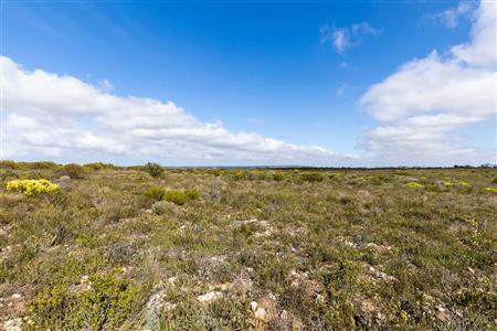 False - Farm For Sale in Riversdale Rural, Riversdale, Western Cape - M119283