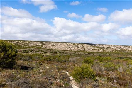 False - Farm For Sale in Riversdale Rural, Riversdale, Western Cape - M119283