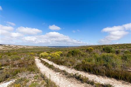False - Farm For Sale in Riversdale Rural, Riversdale, Western Cape - M119283