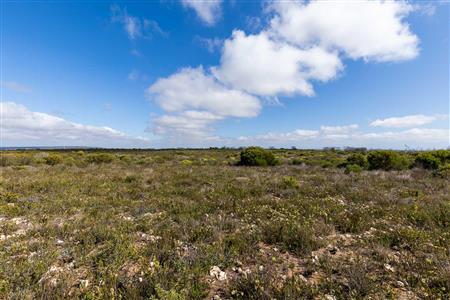False - Farm For Sale in Riversdale Rural, Riversdale, Western Cape - M119283