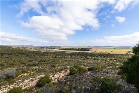 False - Farm For Sale in Riversdale Rural, Riversdale, Western Cape - M119283