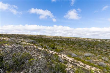 False - Farm For Sale in Riversdale Rural, Riversdale, Western Cape - M119283