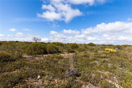 False - Farm For Sale in Riversdale Rural, Riversdale, Western Cape - M119283