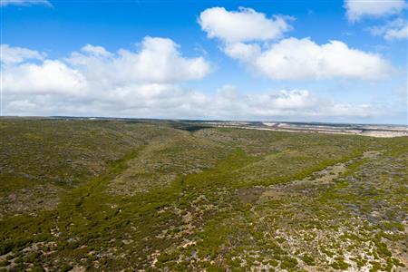 False - Farm For Sale in Riversdale Rural, Riversdale, Western Cape - M119283