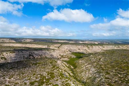 False - Farm For Sale in Riversdale Rural, Riversdale, Western Cape - M119283