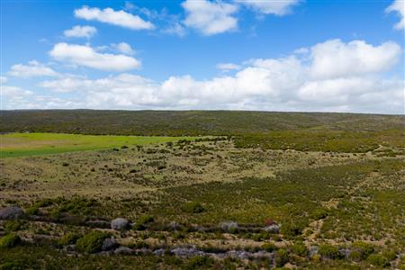 False - Farm For Sale in Riversdale Rural, Riversdale, Western Cape - M119283