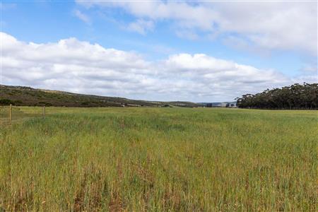 False - Farm For Sale in Riversdale Rural, Riversdale, Western Cape - M119283