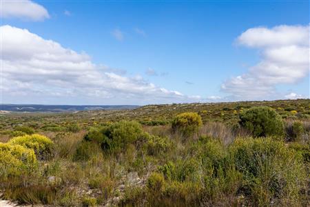 False - Farm For Sale in Riversdale Rural, Riversdale, Western Cape - M119283