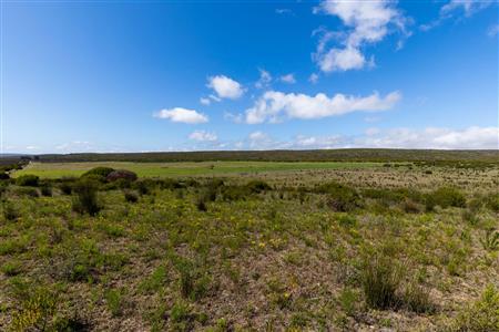 False - Farm For Sale in Riversdale Rural, Riversdale, Western Cape - M119283