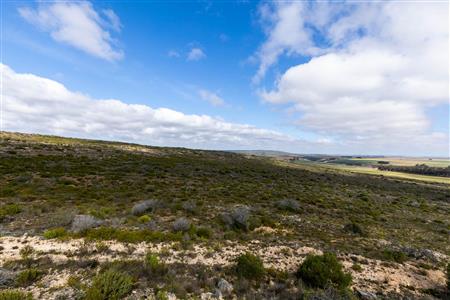 False - Farm For Sale in Riversdale Rural, Riversdale, Western Cape - M119283