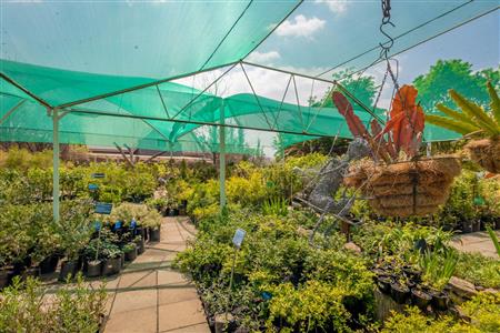 False - Commercial Property For Sale in Heidelberg Central, Heidelberg, Gauteng - M119568