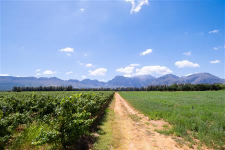 False - Farm For Sale in Klein Drakenstein, Paarl, Western Cape - M120164