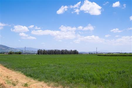 False - Farm For Sale in Klein Drakenstein, Paarl, Western Cape - M120164