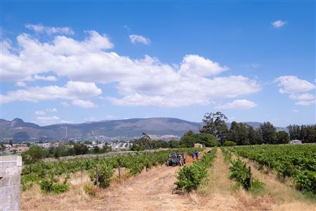 False - Farm For Sale in Klein Drakenstein, Paarl, Western Cape - M120164