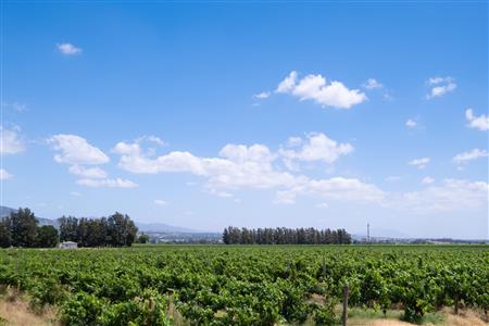 False - Farm For Sale in Klein Drakenstein, Paarl, Western Cape - M120164