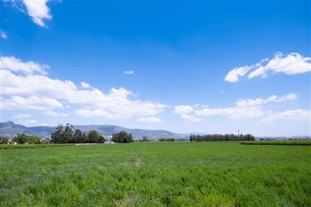 False - Farm For Sale in Klein Drakenstein, Paarl, Western Cape - M120164