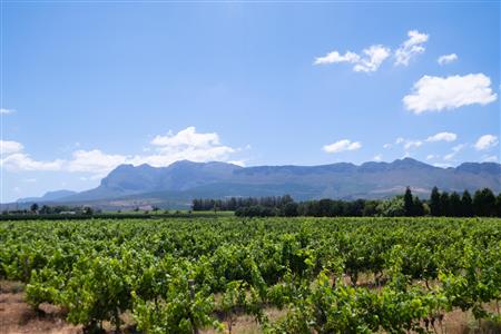 False - Farm For Sale in Klein Drakenstein, Paarl, Western Cape - M120164