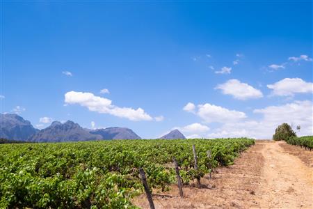 False - Farm For Sale in Klein Drakenstein, Paarl, Western Cape - M120164