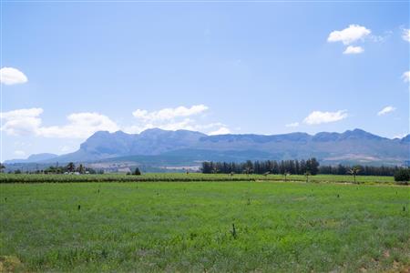 False - Farm For Sale in Klein Drakenstein, Paarl, Western Cape - M120164