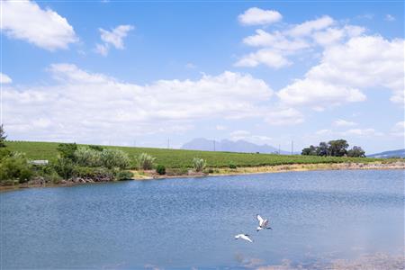 False - Farm For Sale in Klein Drakenstein, Paarl, Western Cape - M120164